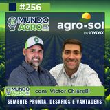 #256 MAP Semente pronta, desafios e vantagens com Victor Chiarelli AGRO-SOL SEMENTES