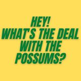 S3E3 - What's the Deal with the Possums?