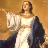 12-08-24 L’Immacolata Concezione - 2024 Omelia
