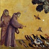 Maturità 2026, toto-tema: perché tutti parlano di San Francesco in prima prova