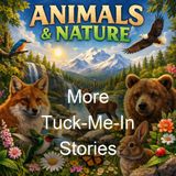More Tuck-Me-In Stories - Enos Benjamin Comstock