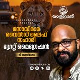 മസായിമാര സഫാരി: വന്യജീവികളും ഗ്രേറ്റ് മൈഗ്രേഷനും | Yathravani | Travelogue