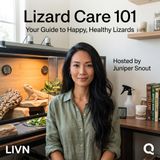Lizard Care 101 - Discover the secrets of scaly companionship with Juniper Snout