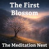 Quiet Sleep Story for Resilience | The First Blossom