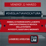 ANIMALI E PADRONI DOPO LA MORTE – OMICIDIO STRADALE E REVOCA DELLA PATENTE – AVVOCATI, QUESTURA E MIGRANTI – #SvegliatiAvvocatura