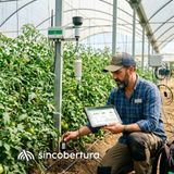 Recursos y herramientas para monitorizar nuestro cultivo