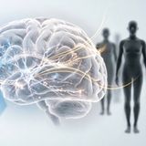 Dall'autismo alla catatonia un unico viaggio