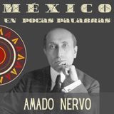 Amado Nervo,  su  vida y obra:  Plenitud y  la Amada Inmóvil