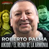 AIKIDO con ROBERTO PALMA: "EL REINO DE LA ARMONÍA"