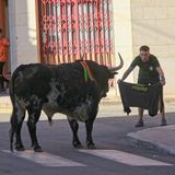 Programa 26. 22-10-25