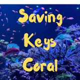 Coral Crossbreeding -- Keri O' Neil FL Aquarium