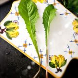 Giudizi universali (e altre confessioni)