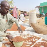 Point sur la semaine du paysan à Niamey (Le Niger sur Kalangou)