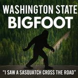 WASHINGTON STATE BIGFOOT: I HAD A FEW ENCOUNTERS AND NUMEROUS INTERACTIONS WITH THE SASQUATCH!