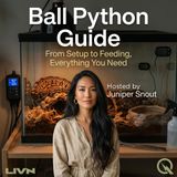 Ball Python Guide - Discover the secrets of your scaly companion with Juniper Snout