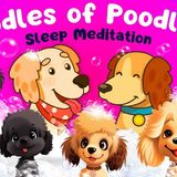 Children_s Sleep Meditation Story _ Hector _ Sunny_ Oodles of Poodles 💕🐩 Calm Kids Sleep Meditation