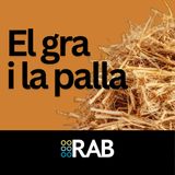 EL GRA I LA PALLA | Pot el carrer canviar el mapa polític català?
