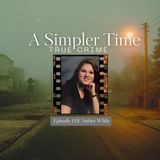 The Private Diary: The Unsolved Disappearance of Amber Wilde