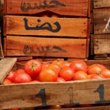 Nueva polémica por el etiquetado de los melones y tomates procedentes de Marruecos