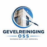 Het effect van luchtvervuiling op gevels.