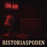 Historias de una soltaria estación de radio (Completa)