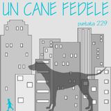 Puntata 229 - Un cane fedele