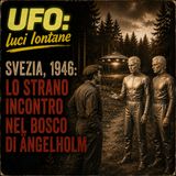 L'incontro nel bosco, Svezia 1946
