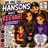 MORE THAN A FAMILY PET  A BLESSING WITH A PURPOSE_mixdown