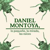 Daniel Montoya, lo pequeño, la mirada, las raíces
