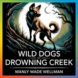 Wild Dogs of Drowning Creek: An Adventure in the Heart of North Carolina | Chapter 13: The Evidence Burns