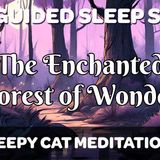 The Enchanted Forest of Wonder - Guided Sleep Story