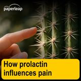 How prolactin influences pain