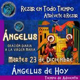 Angelus del día de hoy Martes 23 de Diciembre 2025  🌹Oracion diaria a la Virgen María 🙏