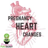 Cardiovascular changes during pregnancy