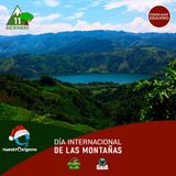 NUESTRO OXÍGENO 11 de diciembre, día internacional de las montañas