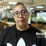 Healthy Homes Hikoi - Open Source People Are Bad A$$!