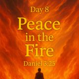 Day 8 – Peace in the Fire