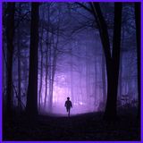 Dead Silence in the Woods: A Terrifying Encounter