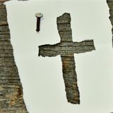 12) Il segno della croce