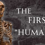 Humanity Before Neanderthals, Human Voiced