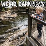 A Boy in the Crocodile Pit and the Stranger Arrested Over It. | #WeirdDarkNEWS