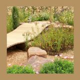 #240 Quanto vale un progetto di giardino fatto bene