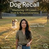 Dog Recall - Master the art of bringing your pup back with Juniper Snout