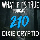 Archive 210 The Wart Forest and Bigfoot