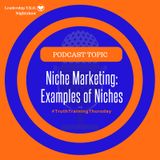 Niche Marketing: Examples of Niches | Lakeisha McKnight