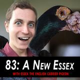83 - A New Essex