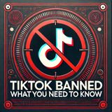 The TikTok Ban in the US 101