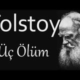 Dostoyevski Uysal Bir Kız Sesli Kitap Akın Altan