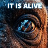 Jurassic Park is REAL: The High-Stakes Race to Resurrect the Dead