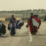 Estrenos de cine: "Primate" y "La fiera" llegan a los cines